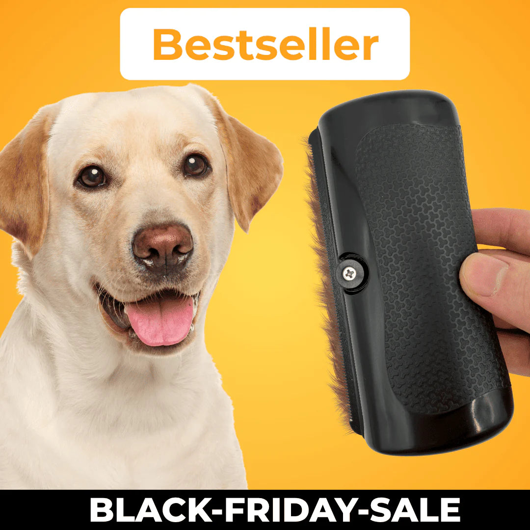 FurWonder Brush – The Best Seller