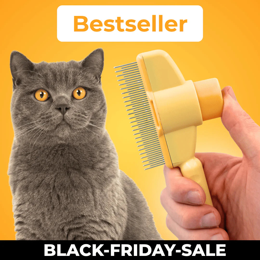 FurFlash Brush – The Best Seller