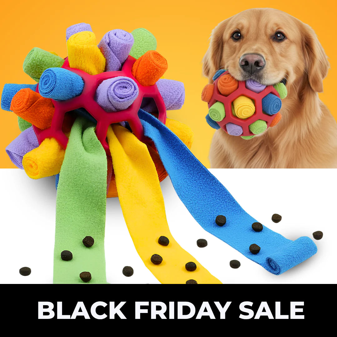 Snuffle Ball – for dogs of all ages
